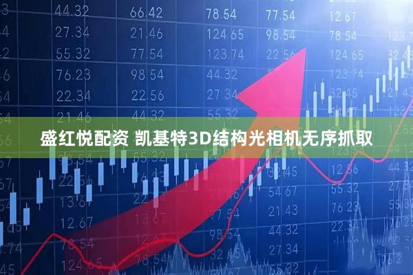 盛红悦配资 凯基特3D结构光相机无序抓取